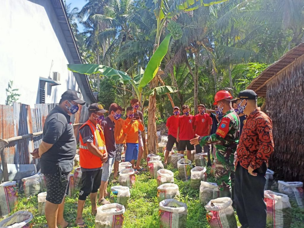Manfaatkan Lahan Kosong, Babinsa Bersama Warga Tanam Jahe di Sekitaran Pos