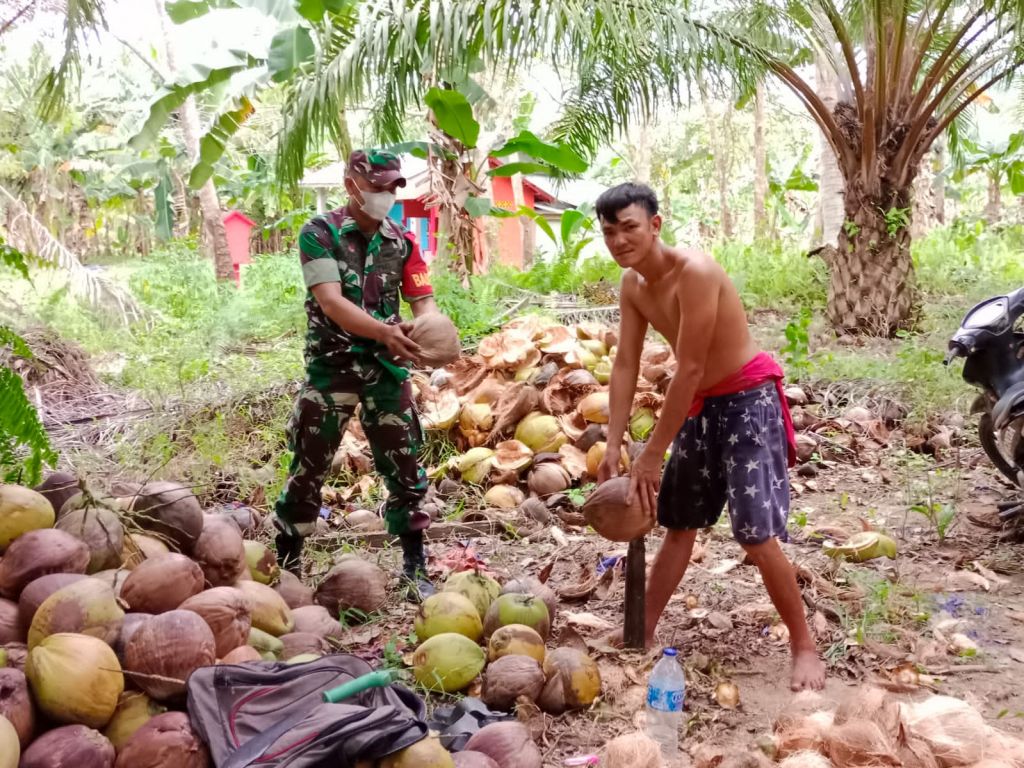 Bina Harmonisasi dan Rasa Kekeluargaan, Babinsa Rukmajaya Komsos Dengan Petani Kelapa