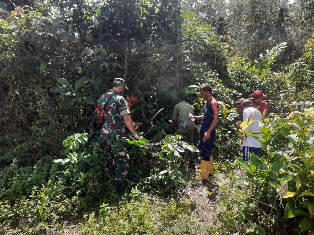 Yakinkan Batas Desa Aman, Babinsa Dampingi Pengukuran Batas Patok Antar Desa Babane