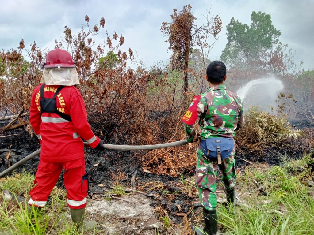 Kebakaran Lahan, Babinsa Koramil 1202-08/Singsel Gerak Cepat Lakukan Pemadaman Api