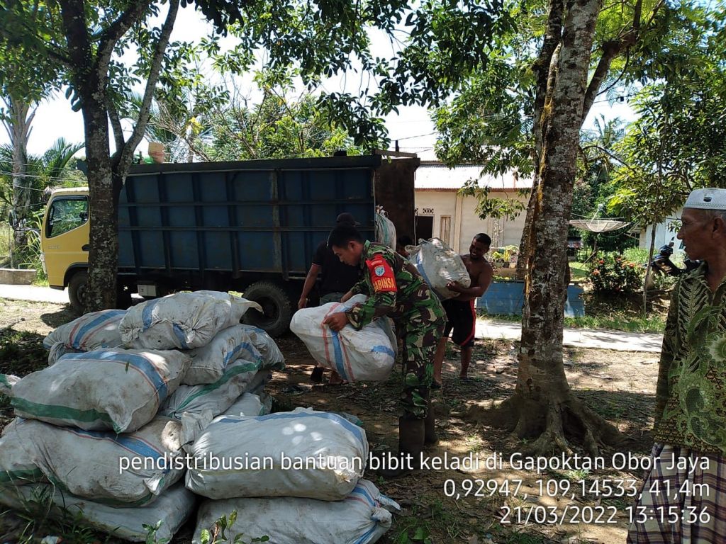 Dukung Peningkatan Hanpangan, Babinsa Koramil 1202-08/Singsel Dampingi Penyaluran Bibit Keladi Sinka Kepada Pok Petani
