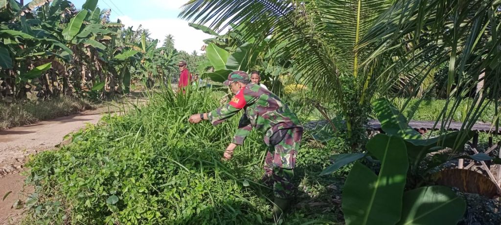 Babinsa 1202-03/Sry hadiri BBGRM(Bulan Bakti Gotong Royong bersama masyarakat