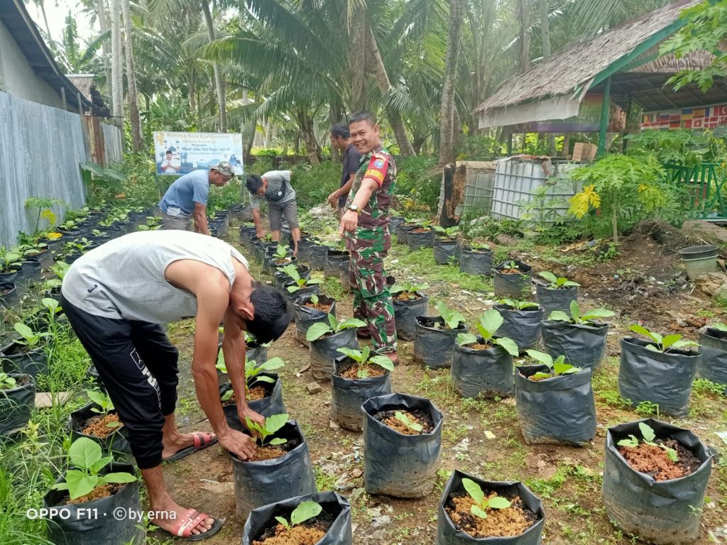 Peduli warganya Babinsa Koramil 1202-03/Sui raya berikan pelatihan pertanian terong