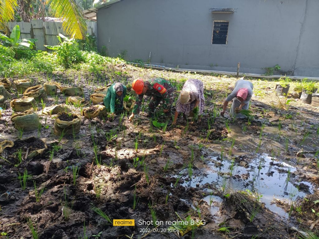 Babinsa 1202-03/SRY Manfaatkan Lahan Kosong Menjadi Pertanian Produktif