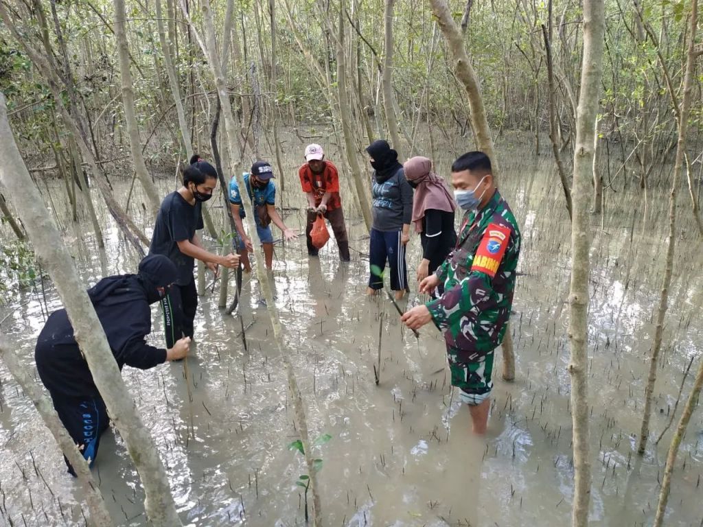 Cegah Abrasi Pantai, Babinsa Kodim 1202-03/Sui Raya,Tanam Bibit Mangrouve