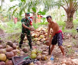 Bina Harmonisasi dan Rasa Kekeluargaan, Babinsa Rukmajaya Komsos Dengan Petani Kelapa
