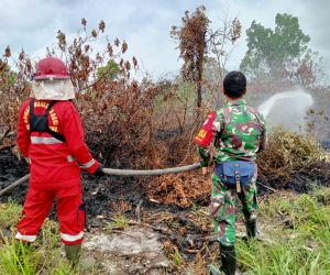 Kebakaran Lahan, Babinsa Koramil 1202-08/Singsel Gerak Cepat Lakukan Pemadaman Api