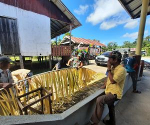 Ciptakan Keakraban, Danramil Perbatasan Komsos Dalam Rangka Monitoring dan Gotong Royong Persiapan Pelaksanaan Gawai Sowa Dayak Bidayuh