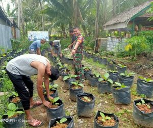 Peduli warganya Babinsa Koramil 1202-03/Sui raya berikan pelatihan pertanian terong