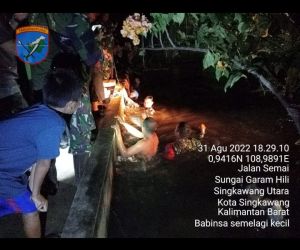 Babinsa Kodim 1202-08/Sedau Bersama Tim Gabungan Evakuasi Korban Tenggelam