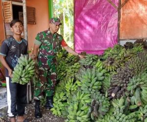 Ketahui Kondisi Warga, Babinsa Gelar Komsos Dengan Petani Pisang